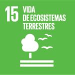 ODS N° 15 - VIDA DE ECOSISTEMAS TERRESTRE