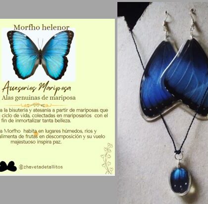 Accesorios_mariposa